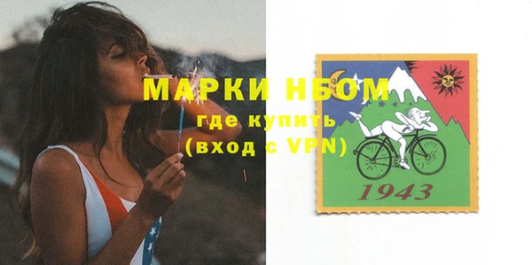 ПСИЛОЦИБИНОВЫЕ ГРИБЫ Касимов