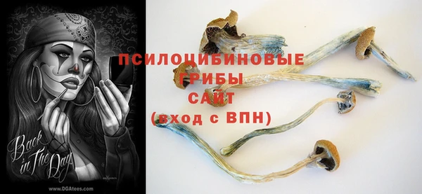 ПСИЛОЦИБИНОВЫЕ ГРИБЫ Касимов