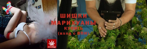 ПСИЛОЦИБИНОВЫЕ ГРИБЫ Касимов