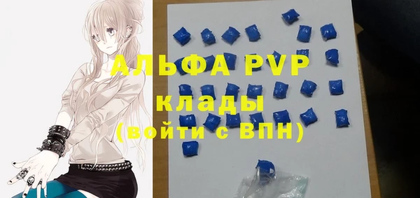 ПСИЛОЦИБИНОВЫЕ ГРИБЫ Касимов