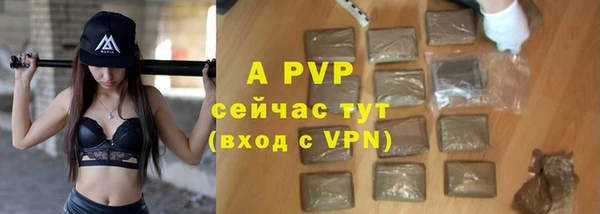 ПСИЛОЦИБИНОВЫЕ ГРИБЫ Касимов