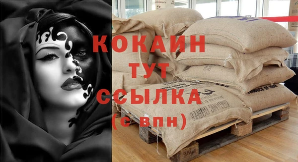 ПСИЛОЦИБИНОВЫЕ ГРИБЫ Касимов