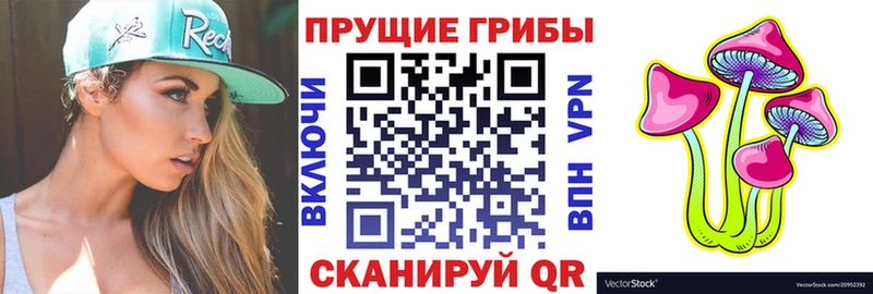 Псилоцибиновые грибы GOLDEN TEACHER  Купить закладки  Вязники 